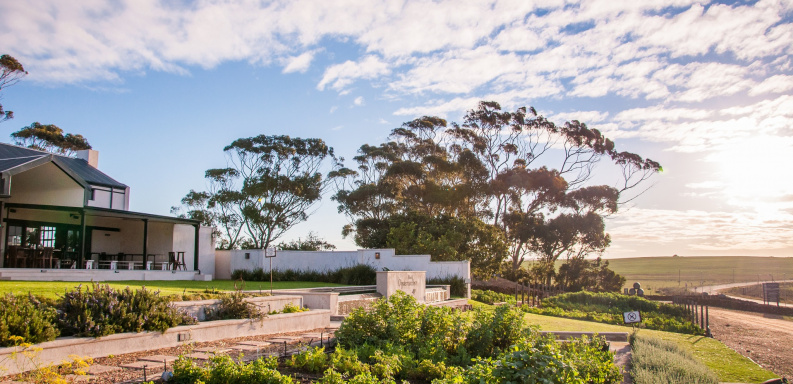 Nurturing the Next Generation: How Agulhas Wine Farms Support Youth and Future Winemakers